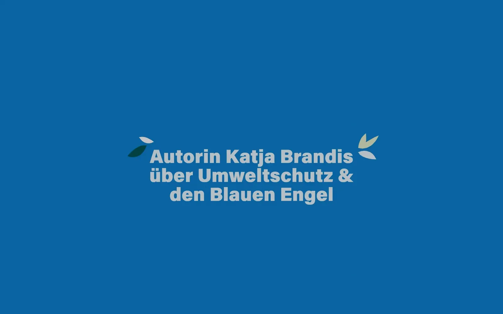 Der Opener der langen Webfassung im Breitbild, dieselbe Typografie auf anderer Bühne.