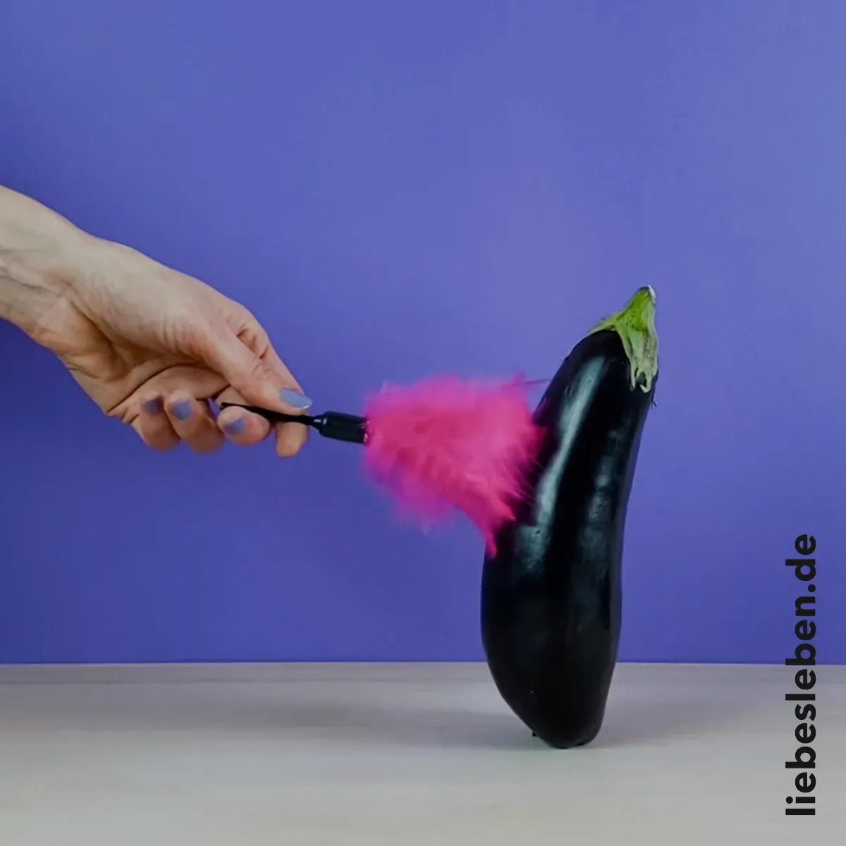 Standbild aus der GIF-Reihe zur Hygiene, Aubergine und Staubwedel als Stellvertreter vor violettem Grund.